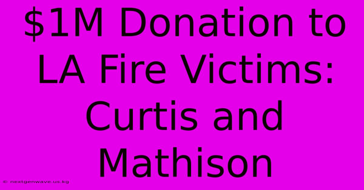 $1M Donation To LA Fire Victims: Curtis And Mathison