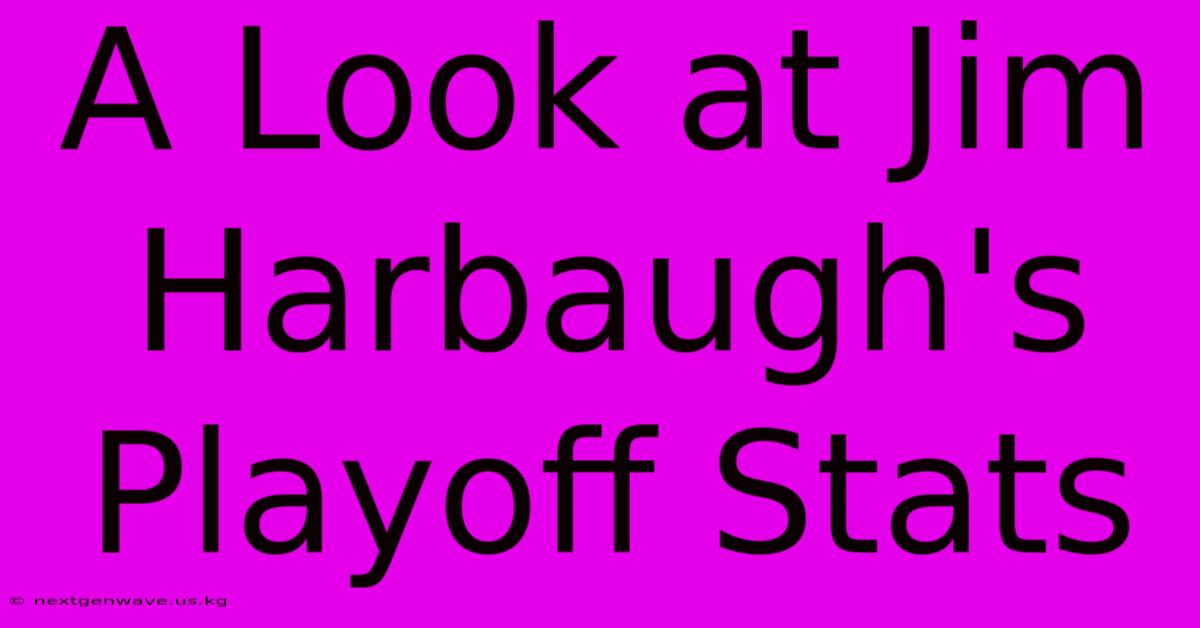 A Look At Jim Harbaugh's Playoff Stats