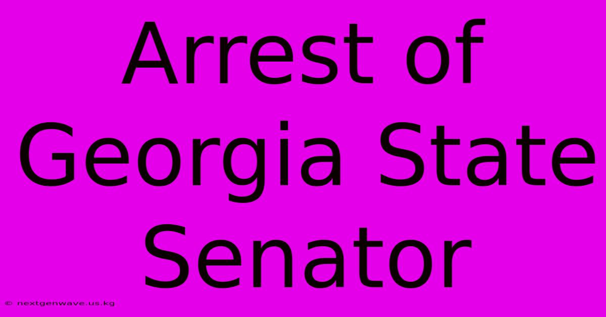 Arrest Of Georgia State Senator