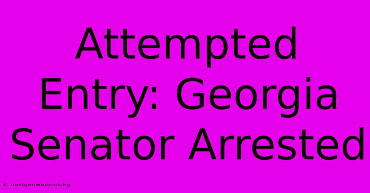 Attempted Entry: Georgia Senator Arrested