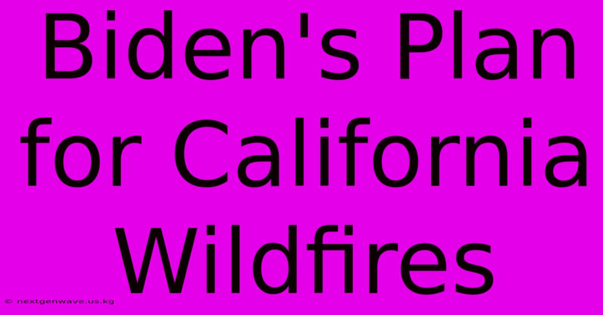 Biden's Plan For California Wildfires