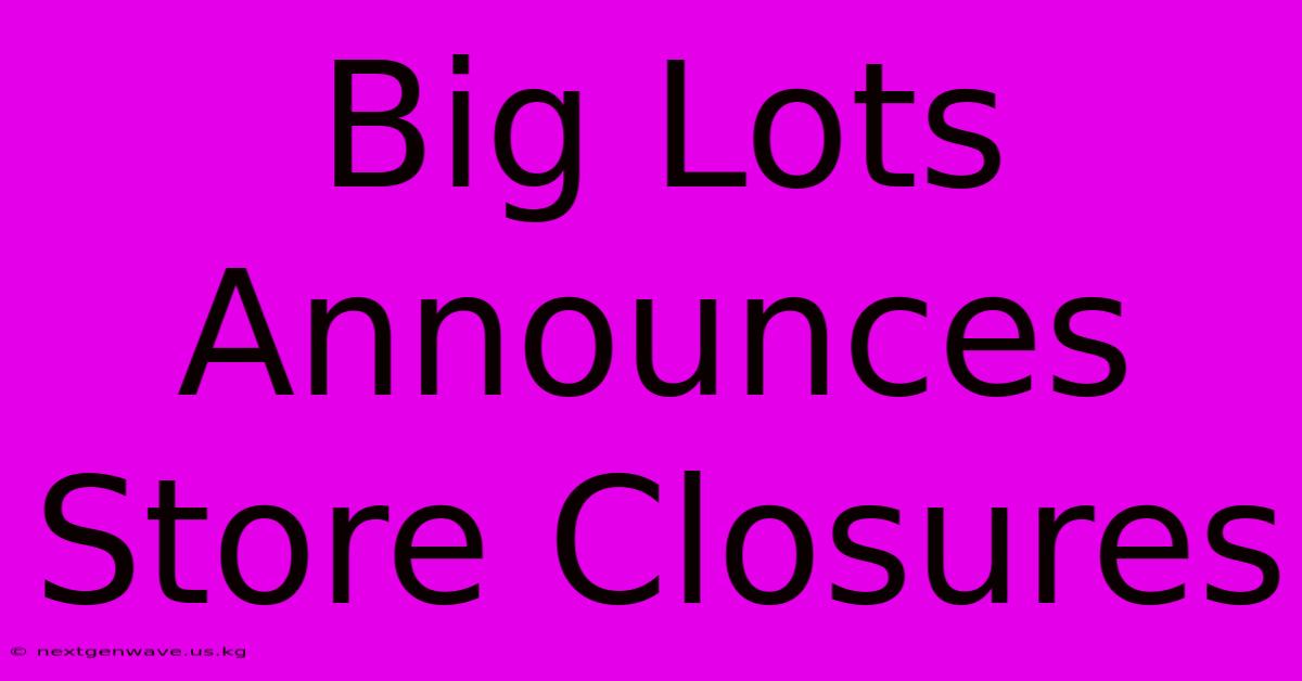 Big Lots Announces Store Closures