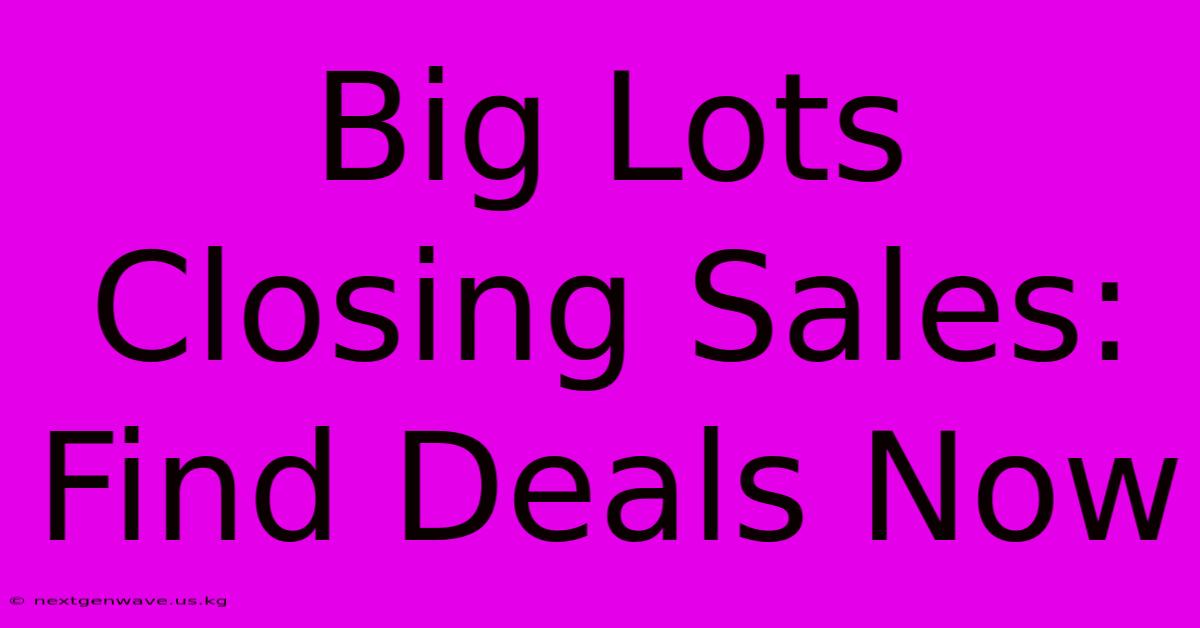 Big Lots Closing Sales: Find Deals Now