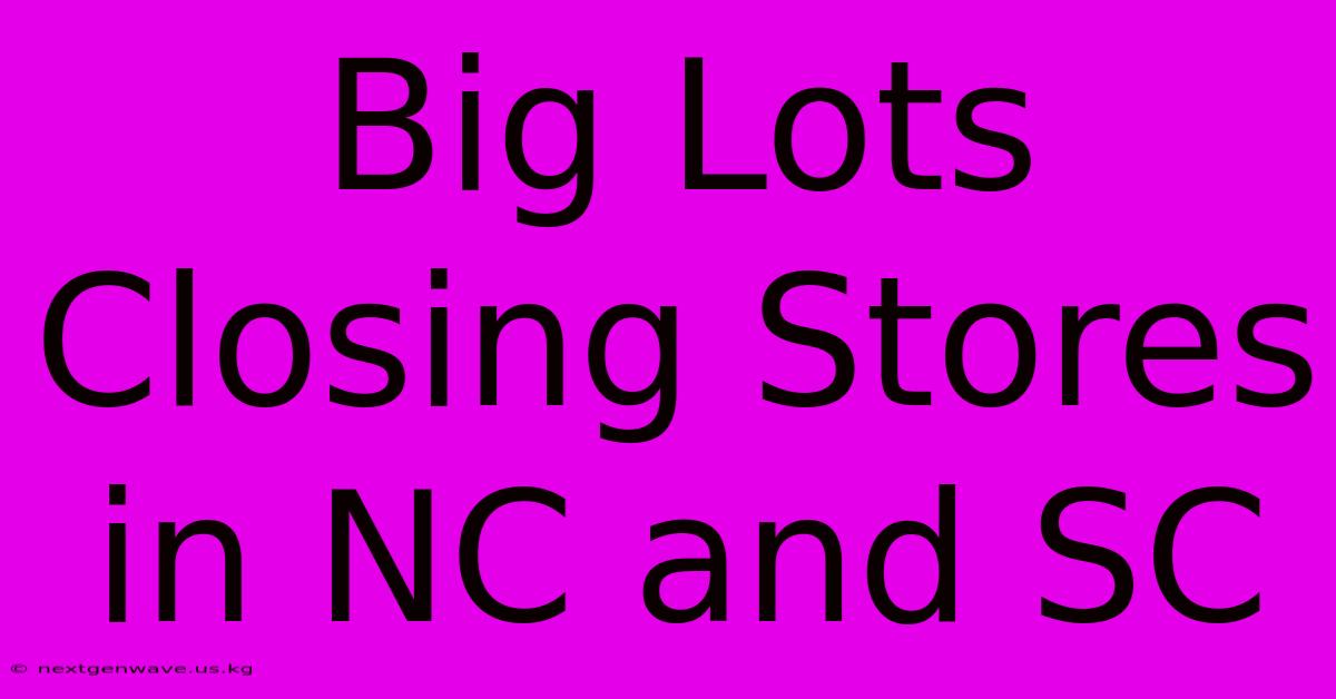 Big Lots Closing Stores In NC And SC