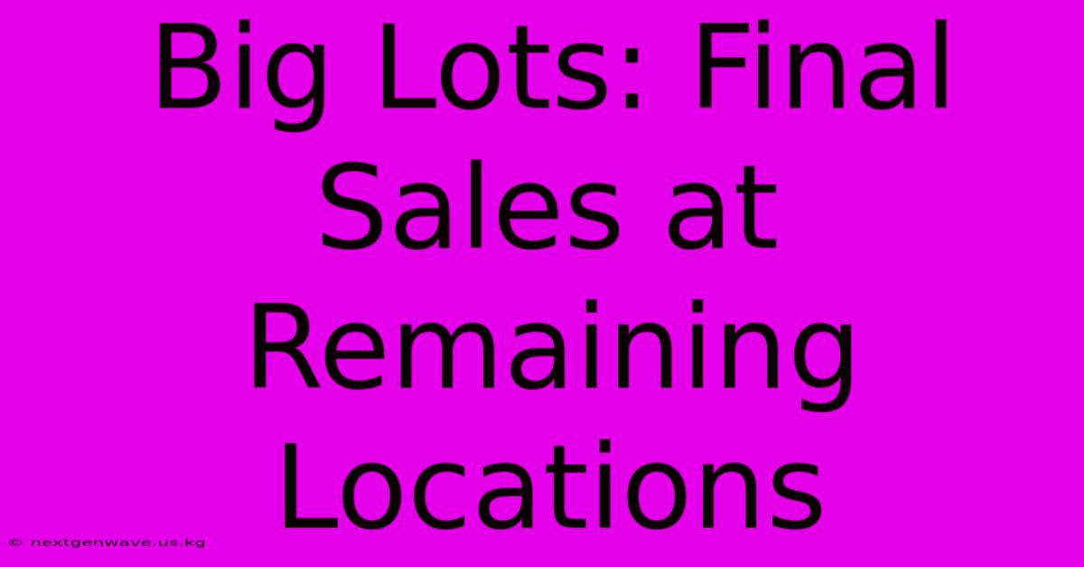 Big Lots: Final Sales At Remaining Locations