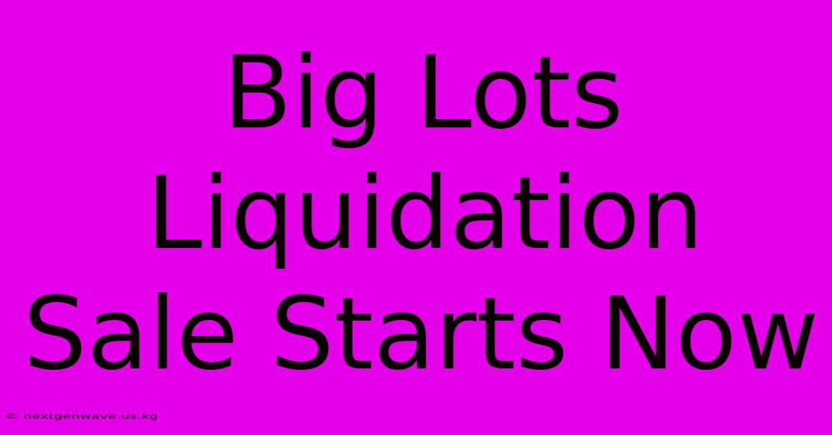 Big Lots Liquidation Sale Starts Now