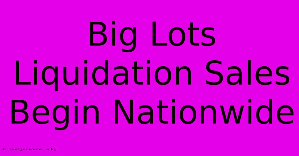 Big Lots Liquidation Sales Begin Nationwide