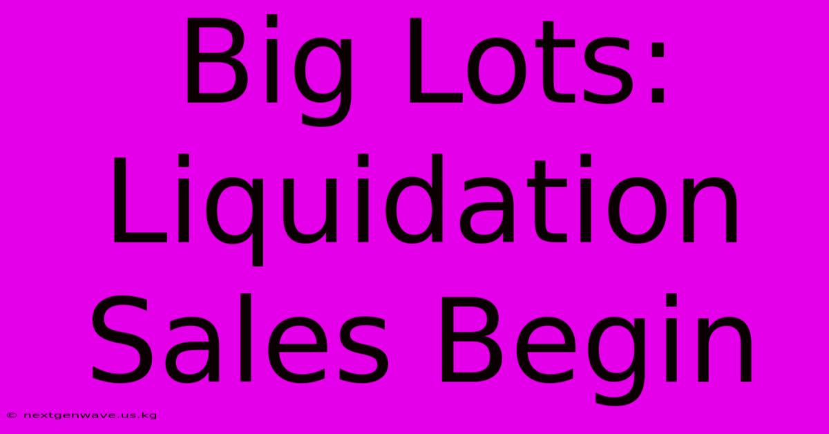 Big Lots: Liquidation Sales Begin