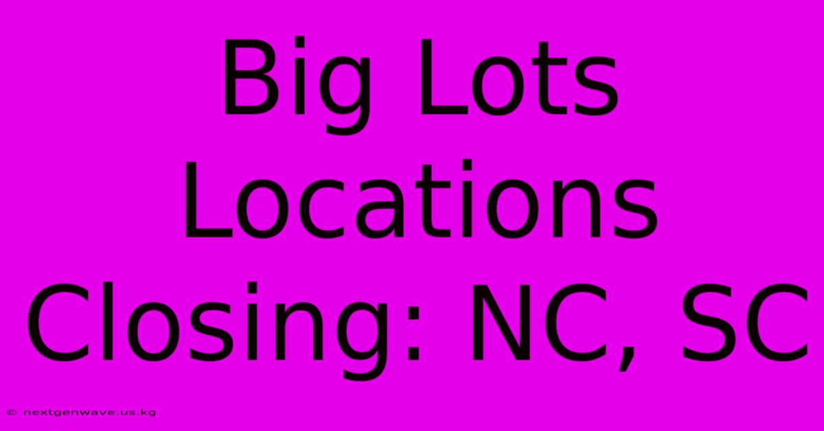 Big Lots Locations Closing: NC, SC