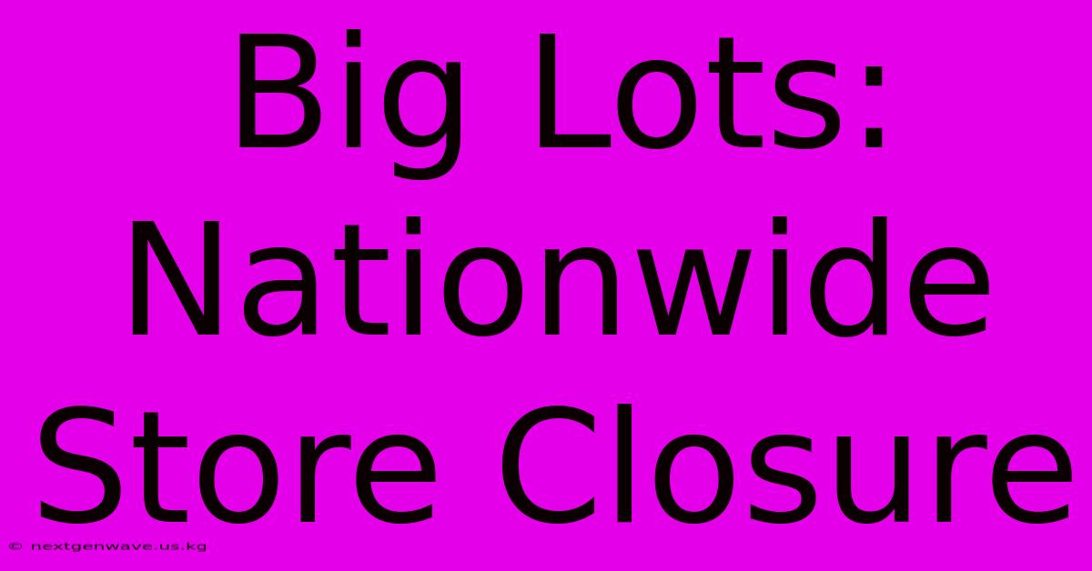 Big Lots: Nationwide Store Closure