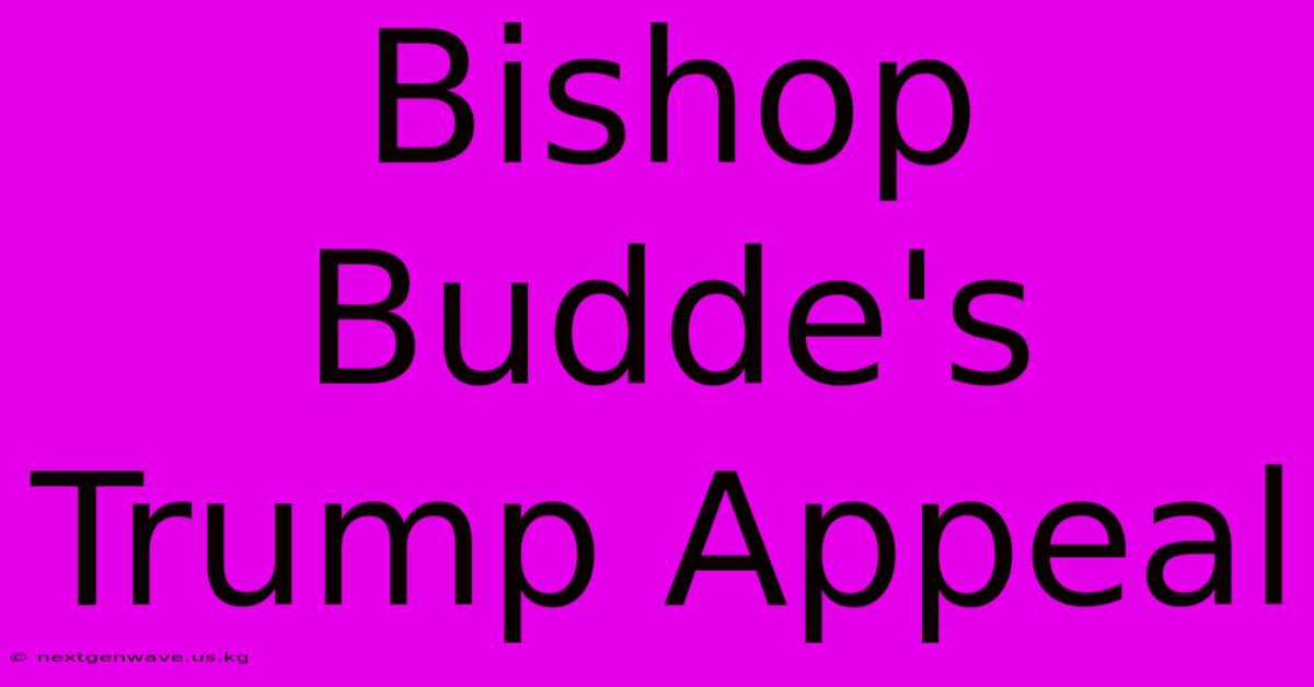 Bishop Budde's Trump Appeal