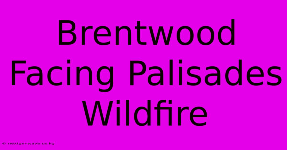 Brentwood Facing Palisades Wildfire