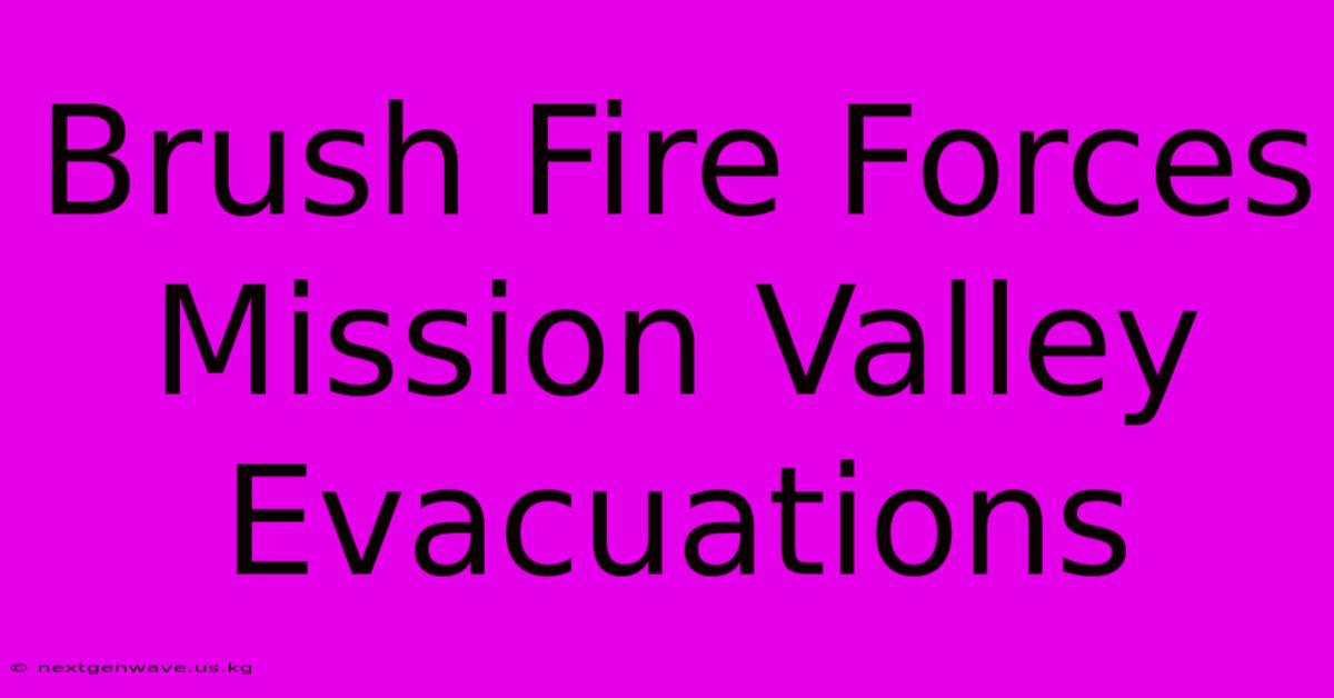 Brush Fire Forces Mission Valley Evacuations