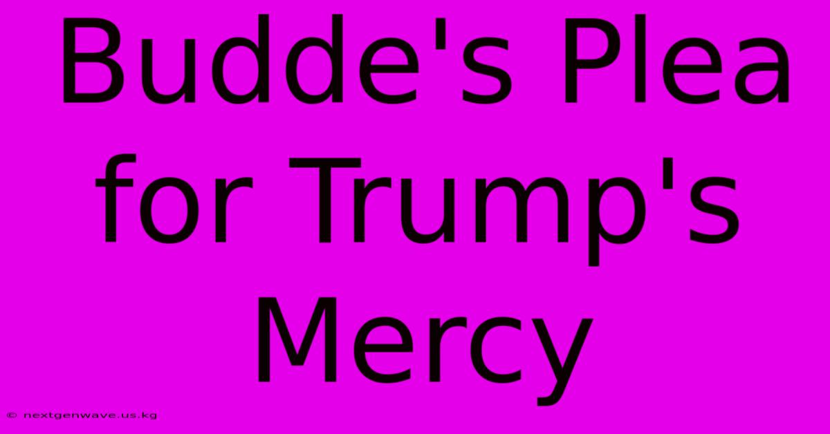 Budde's Plea For Trump's Mercy