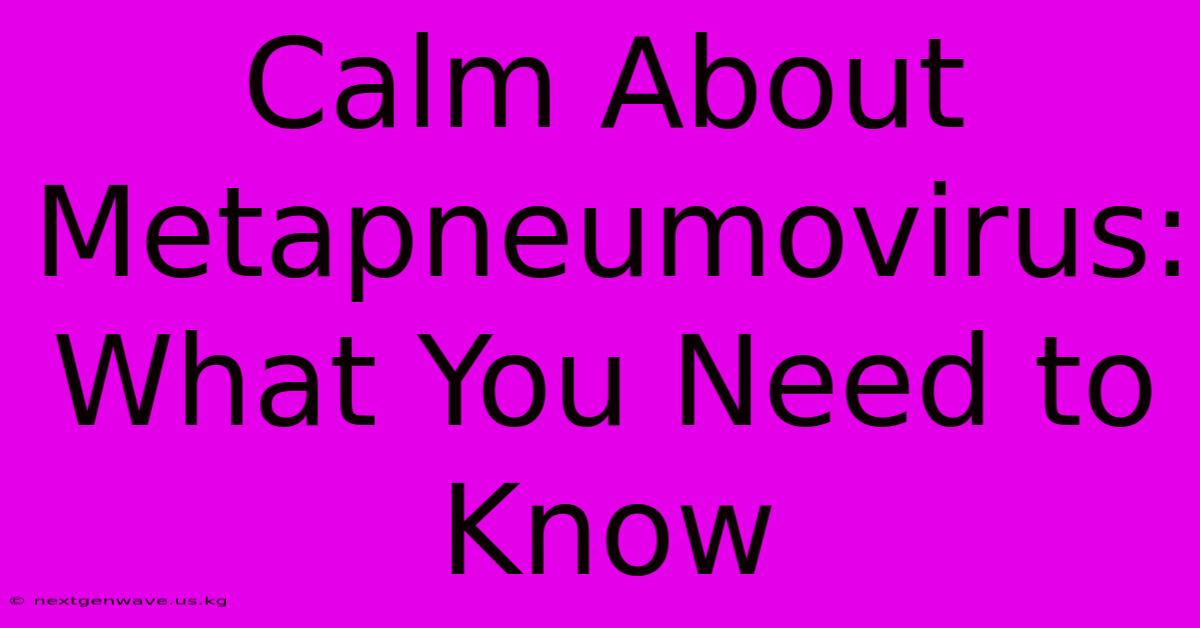 Calm About Metapneumovirus: What You Need To Know