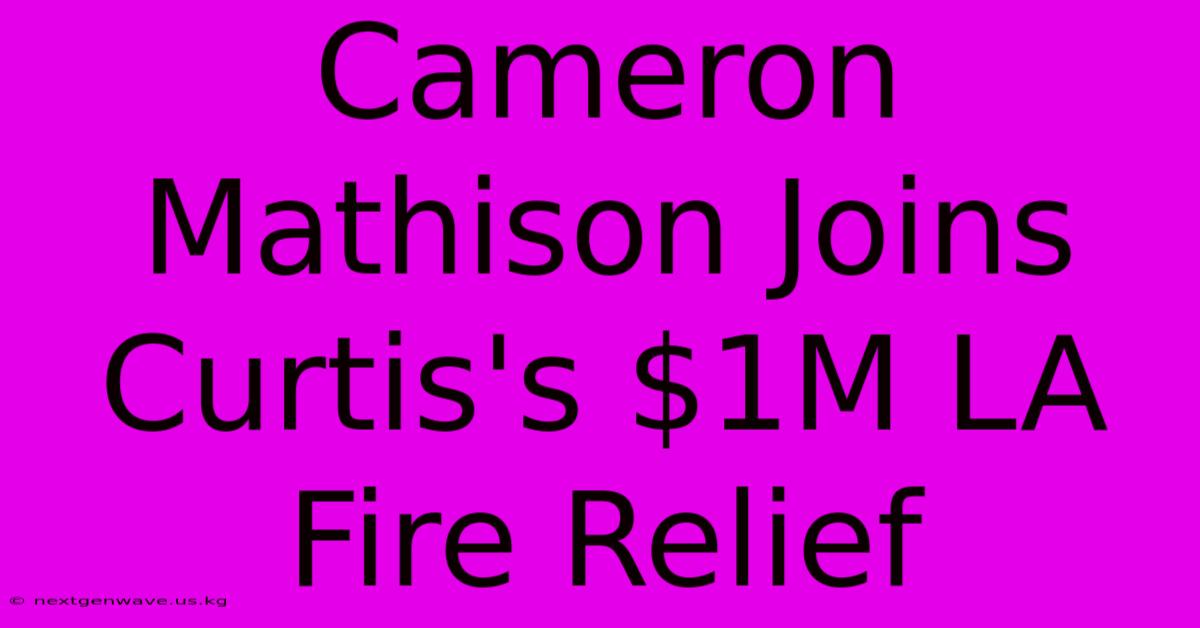 Cameron Mathison Joins Curtis's $1M LA Fire Relief