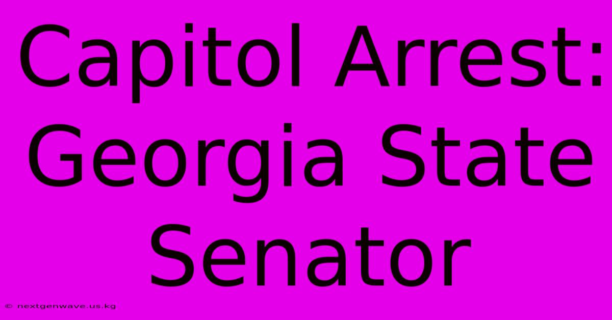 Capitol Arrest: Georgia State Senator