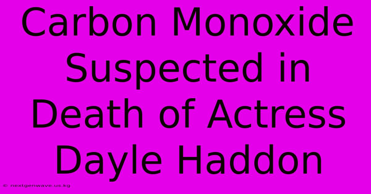 Carbon Monoxide Suspected In Death Of Actress Dayle Haddon