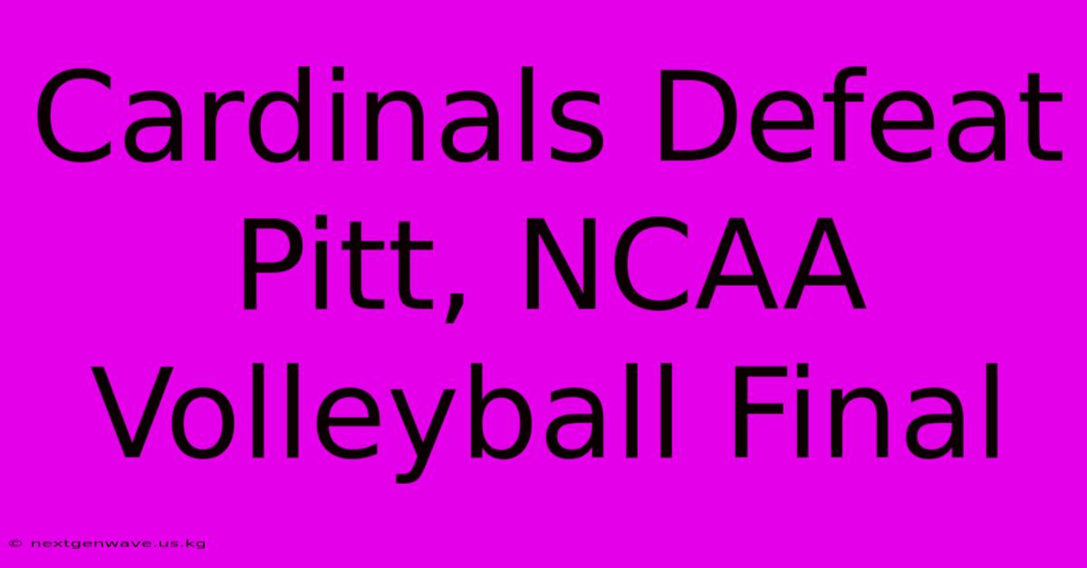 Cardinals Defeat Pitt, NCAA Volleyball Final