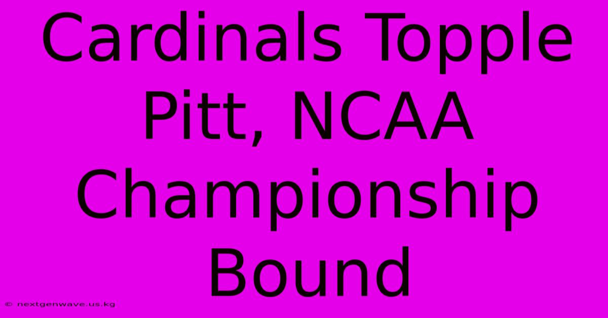 Cardinals Topple Pitt, NCAA Championship Bound