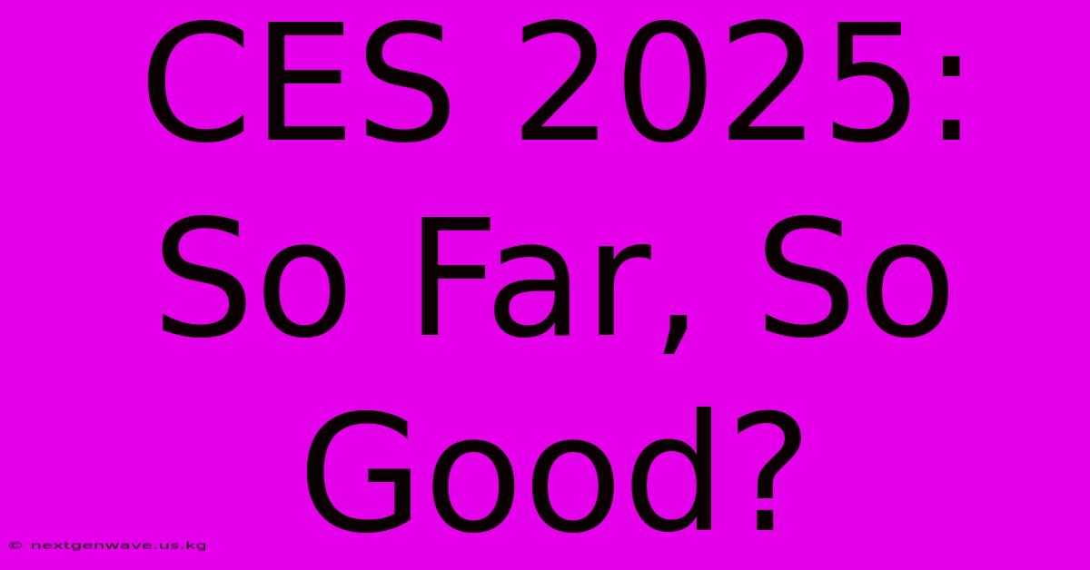 CES 2025: So Far, So Good?