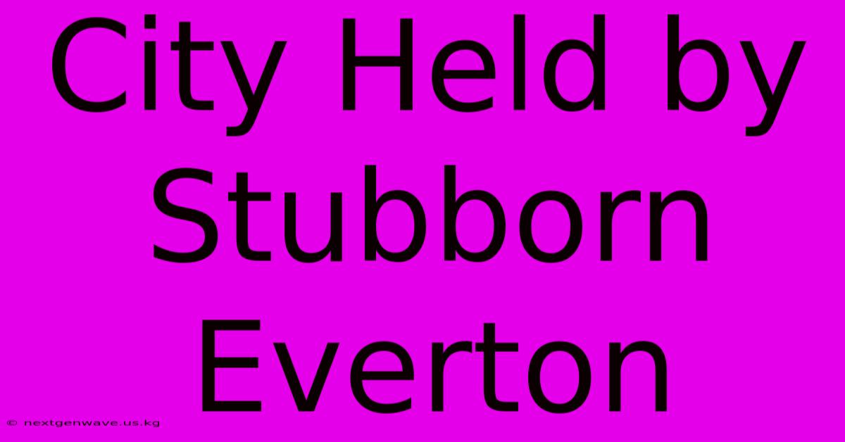 City Held By Stubborn Everton