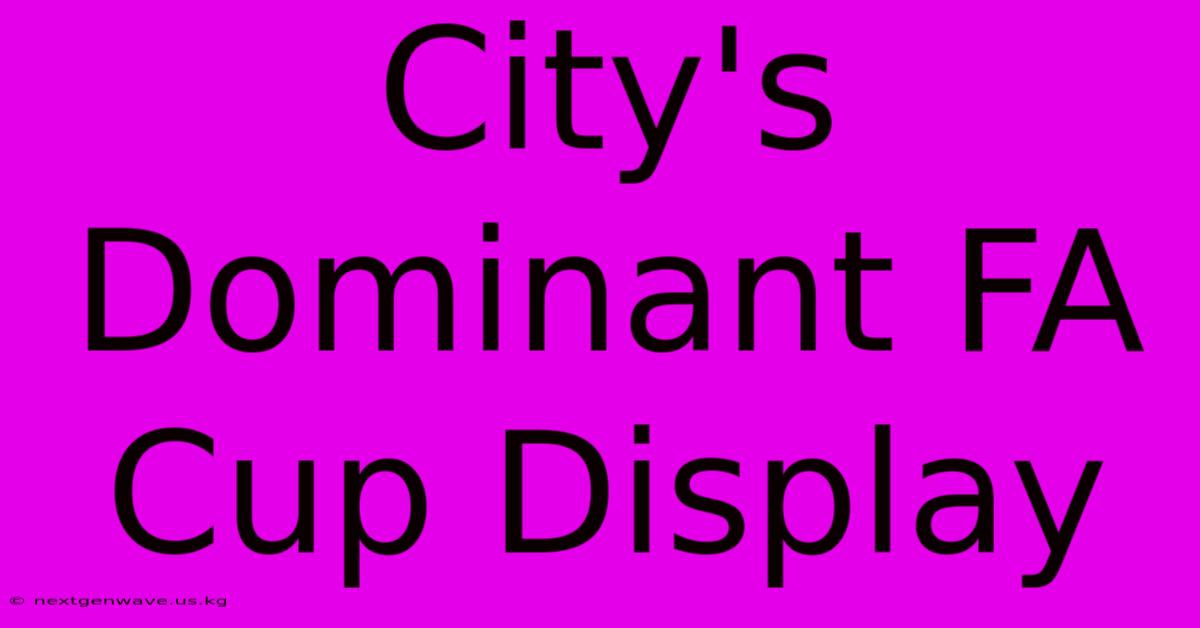 City's Dominant FA Cup Display