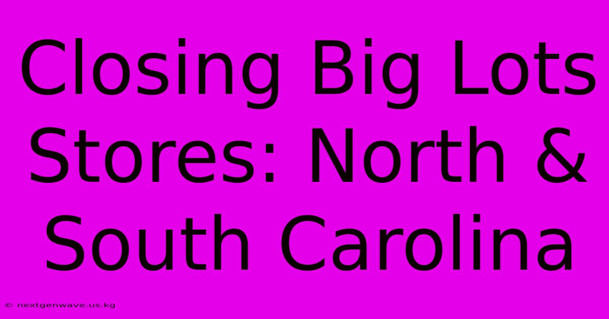 Closing Big Lots Stores: North & South Carolina