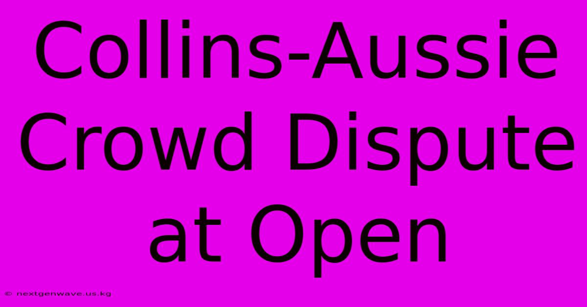 Collins-Aussie Crowd Dispute At Open