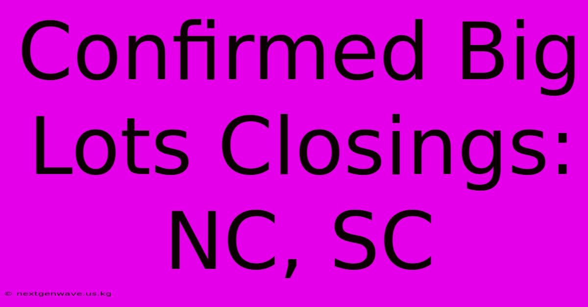 Confirmed Big Lots Closings: NC, SC