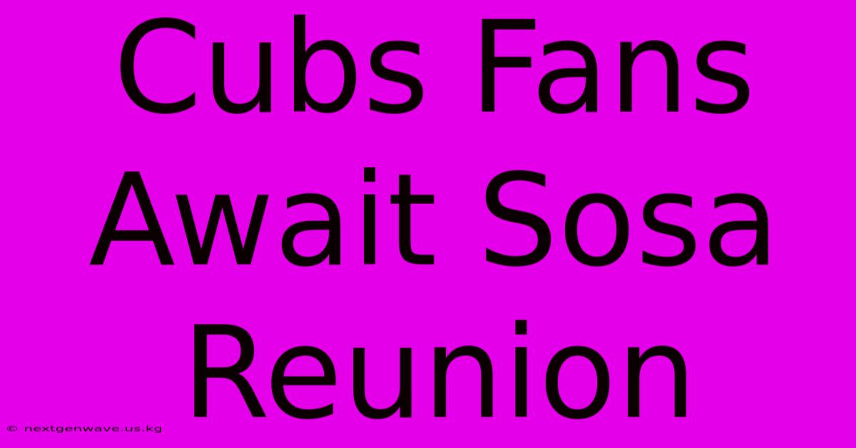 Cubs Fans Await Sosa Reunion