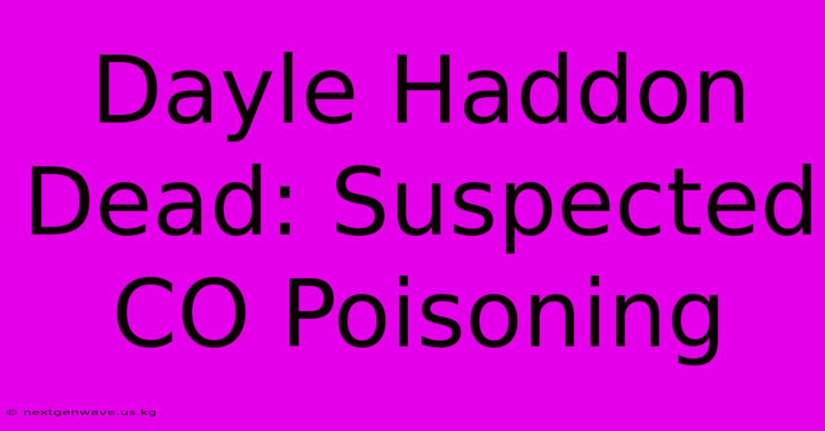 Dayle Haddon Dead: Suspected CO Poisoning