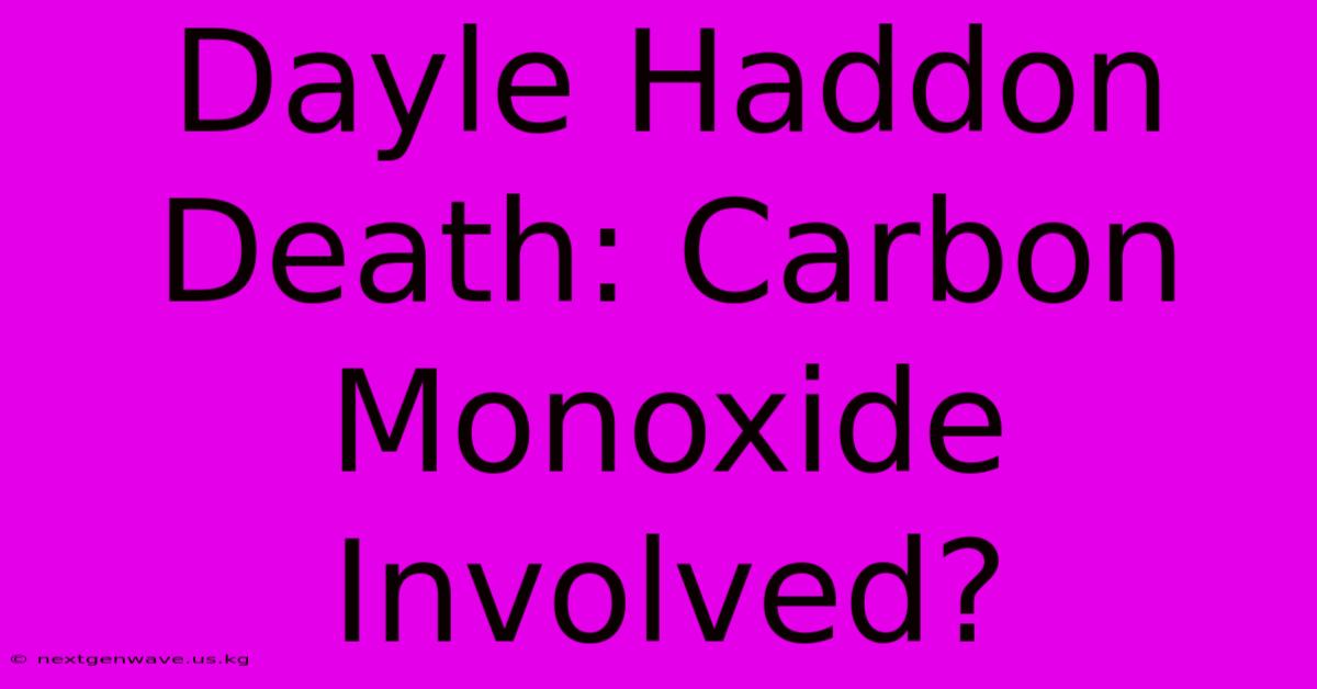 Dayle Haddon Death: Carbon Monoxide Involved?