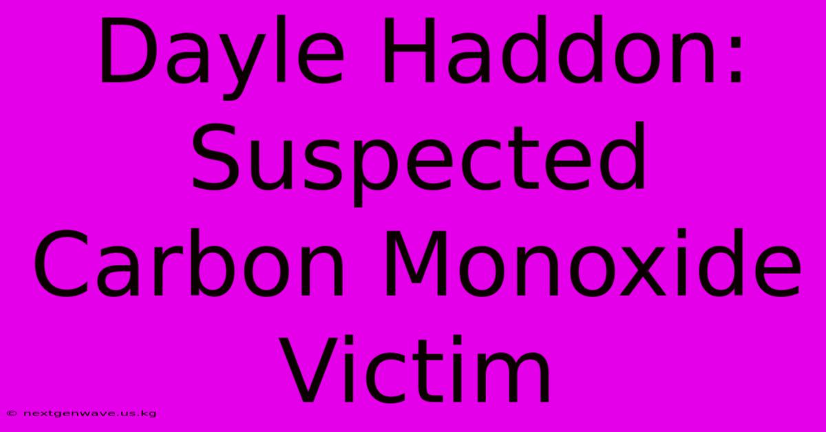 Dayle Haddon: Suspected Carbon Monoxide Victim