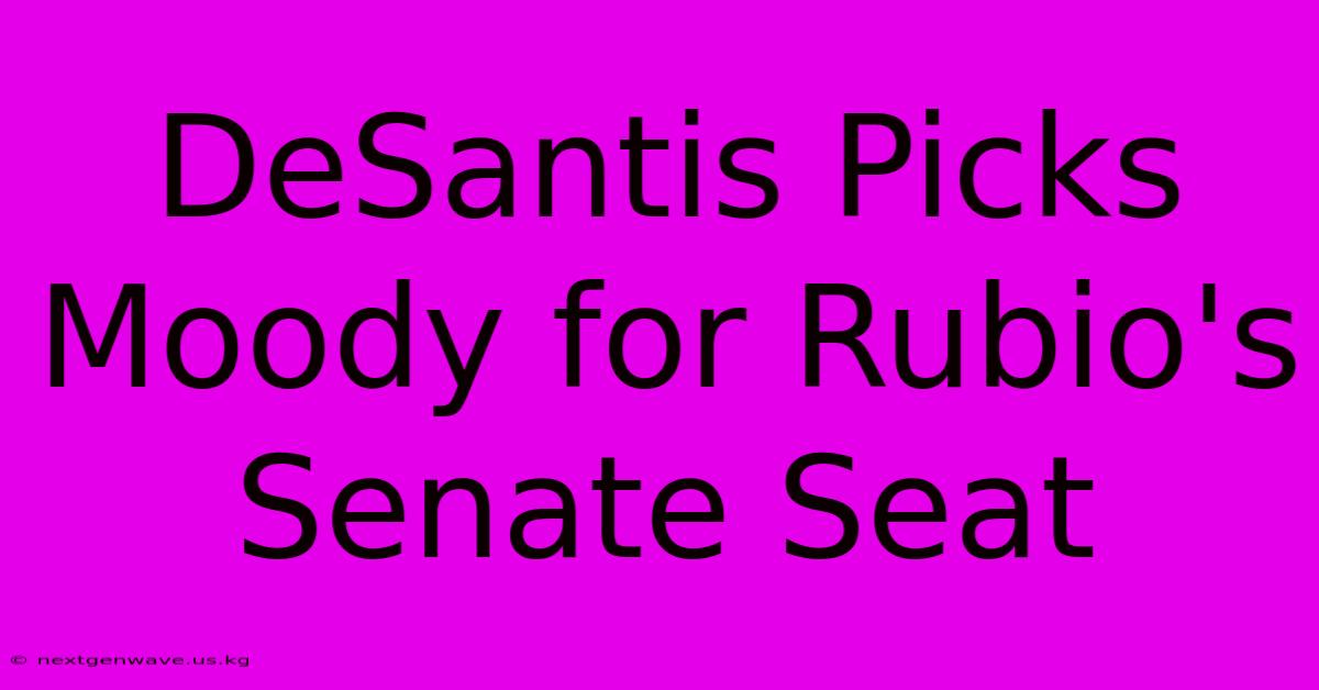 DeSantis Picks Moody For Rubio's Senate Seat