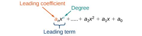 Degree And Leading Coefficient Of A Polynomial