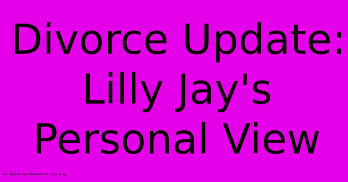 Divorce Update: Lilly Jay's Personal View