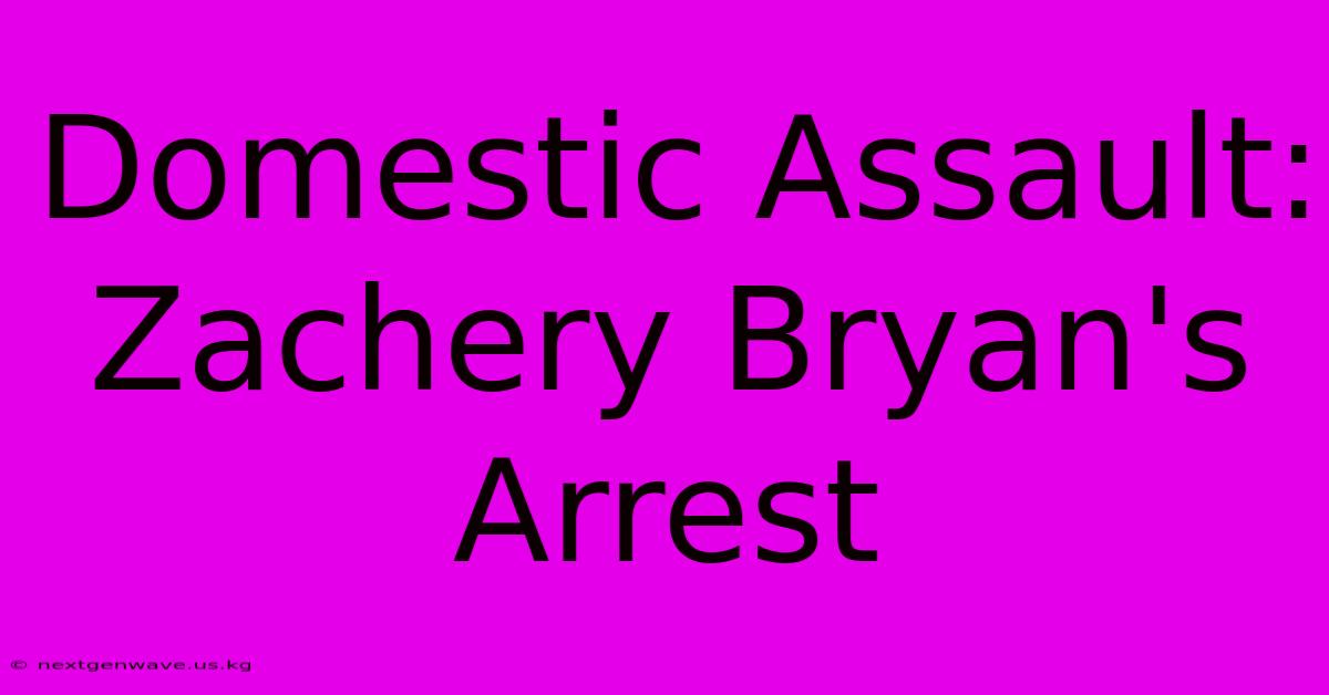 Domestic Assault: Zachery Bryan's Arrest