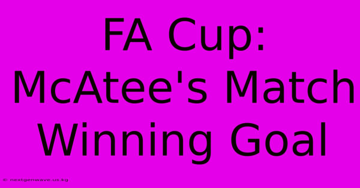 FA Cup: McAtee's Match Winning Goal