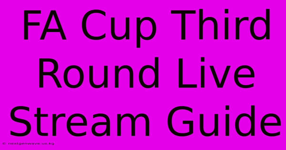 FA Cup Third Round Live Stream Guide