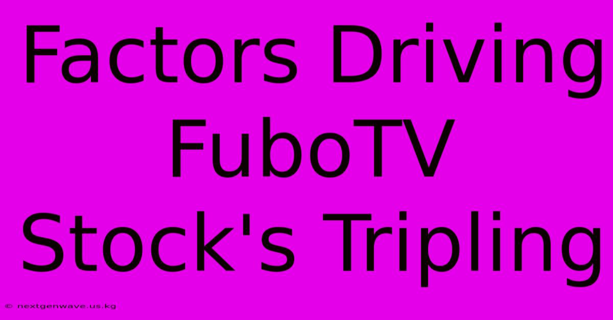 Factors Driving FuboTV Stock's Tripling