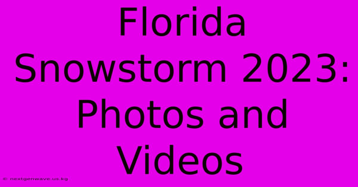 Florida Snowstorm 2023: Photos And Videos