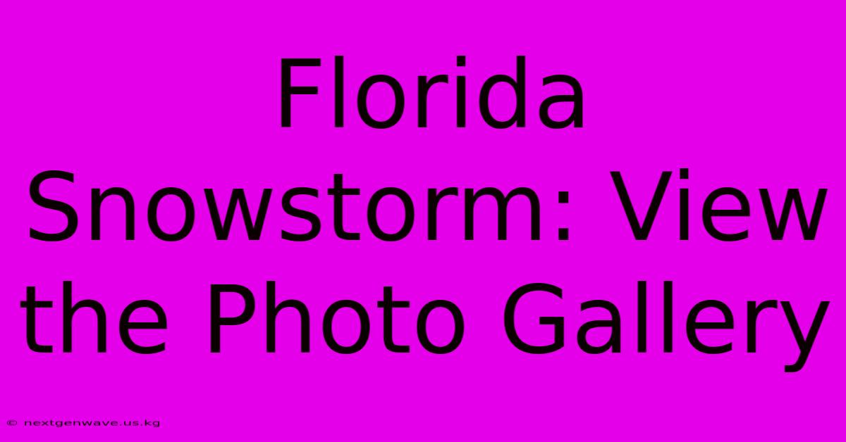 Florida Snowstorm: View The Photo Gallery