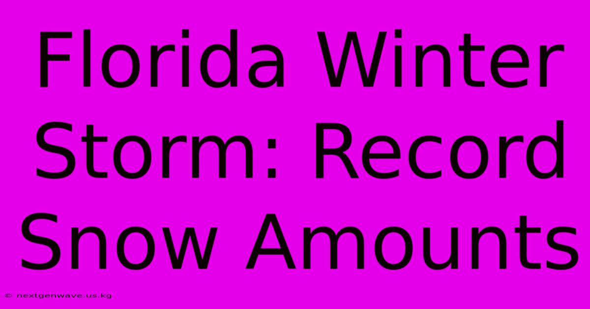 Florida Winter Storm: Record Snow Amounts