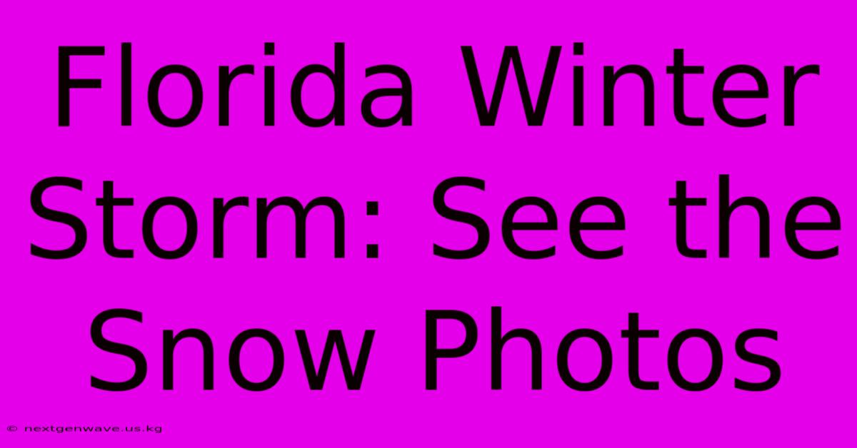 Florida Winter Storm: See The Snow Photos