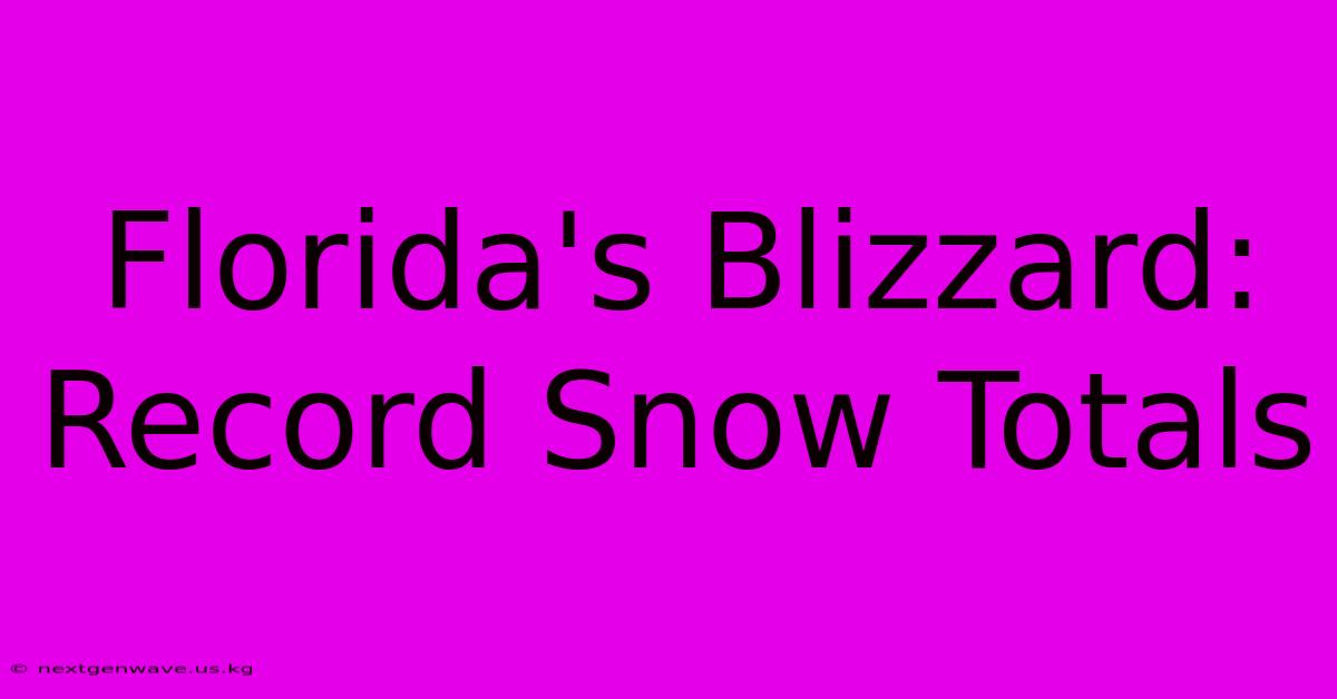 Florida's Blizzard: Record Snow Totals