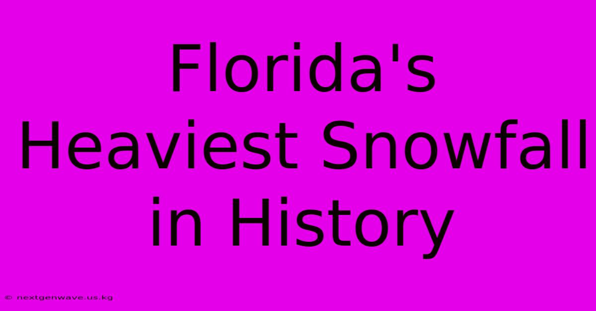 Florida's Heaviest Snowfall In History