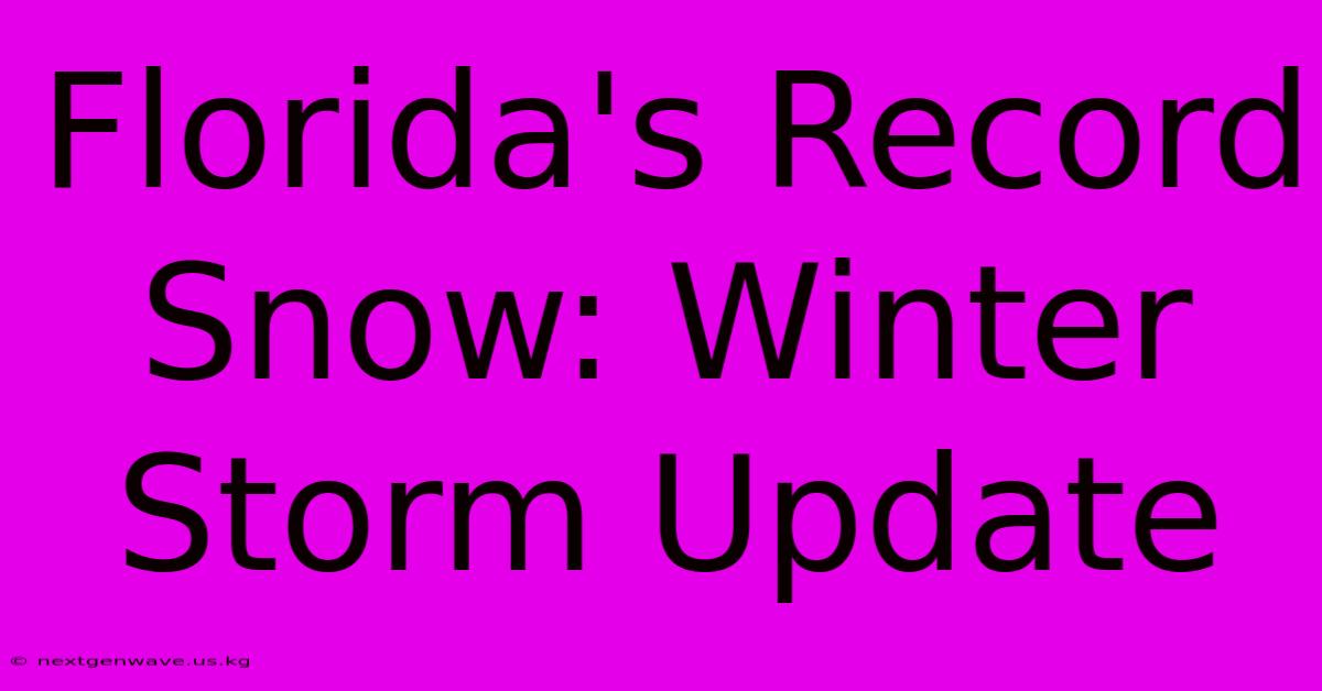 Florida's Record Snow: Winter Storm Update