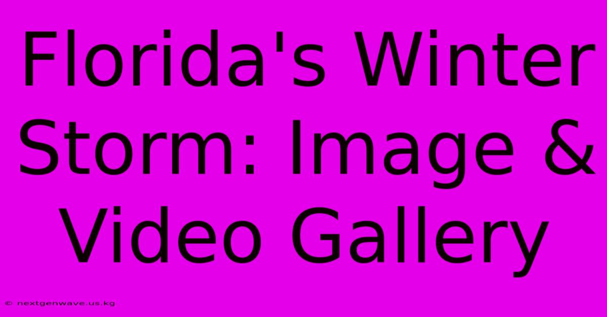 Florida's Winter Storm: Image & Video Gallery