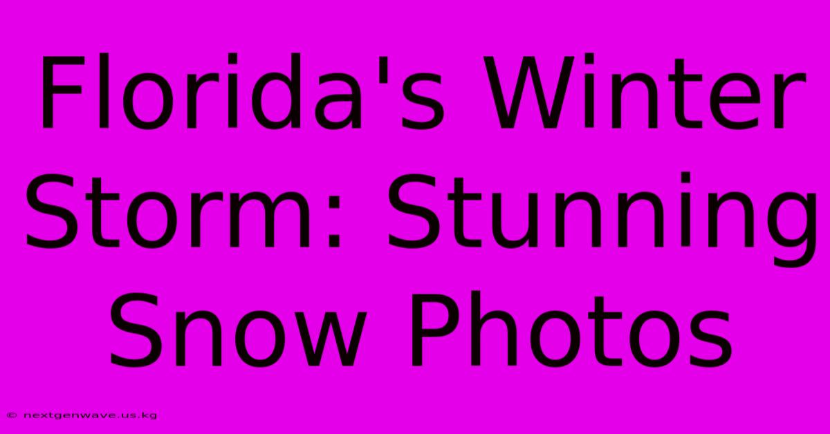 Florida's Winter Storm: Stunning Snow Photos